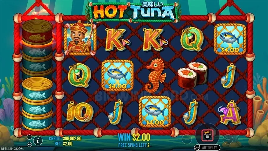 8k8 Cashback Offer